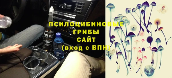 мет Аркадак