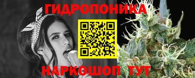 СК Пушкино