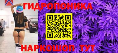 СК Пушкино