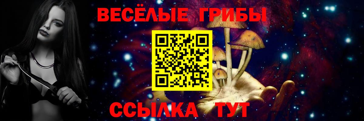 Галлюциногенные грибы Psilocybine cubensis  Вход с VPN  Сухой Лог 