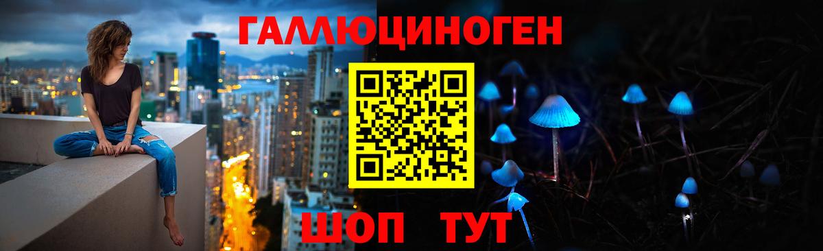 Псилоцибиновые грибы мицелий Сухой Лог