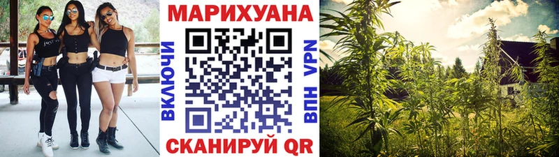 что такое наркотик  Сухой Лог  Конопля сатива 